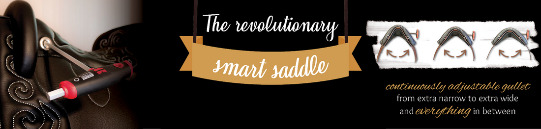 How To: Adjust and Fit a DP Saddle