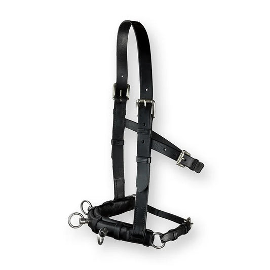 DP Saddlery Cavesson Schooling