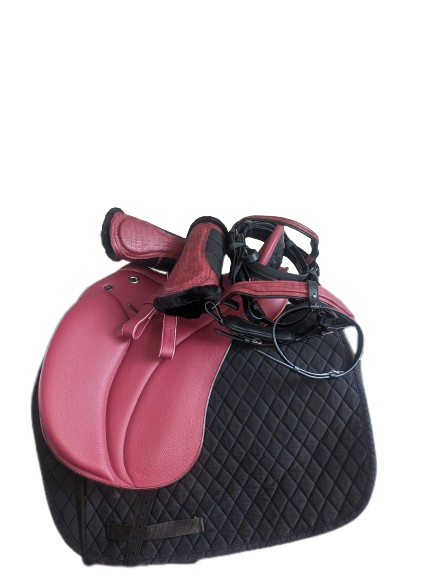 Croc Bridles Limited Edition