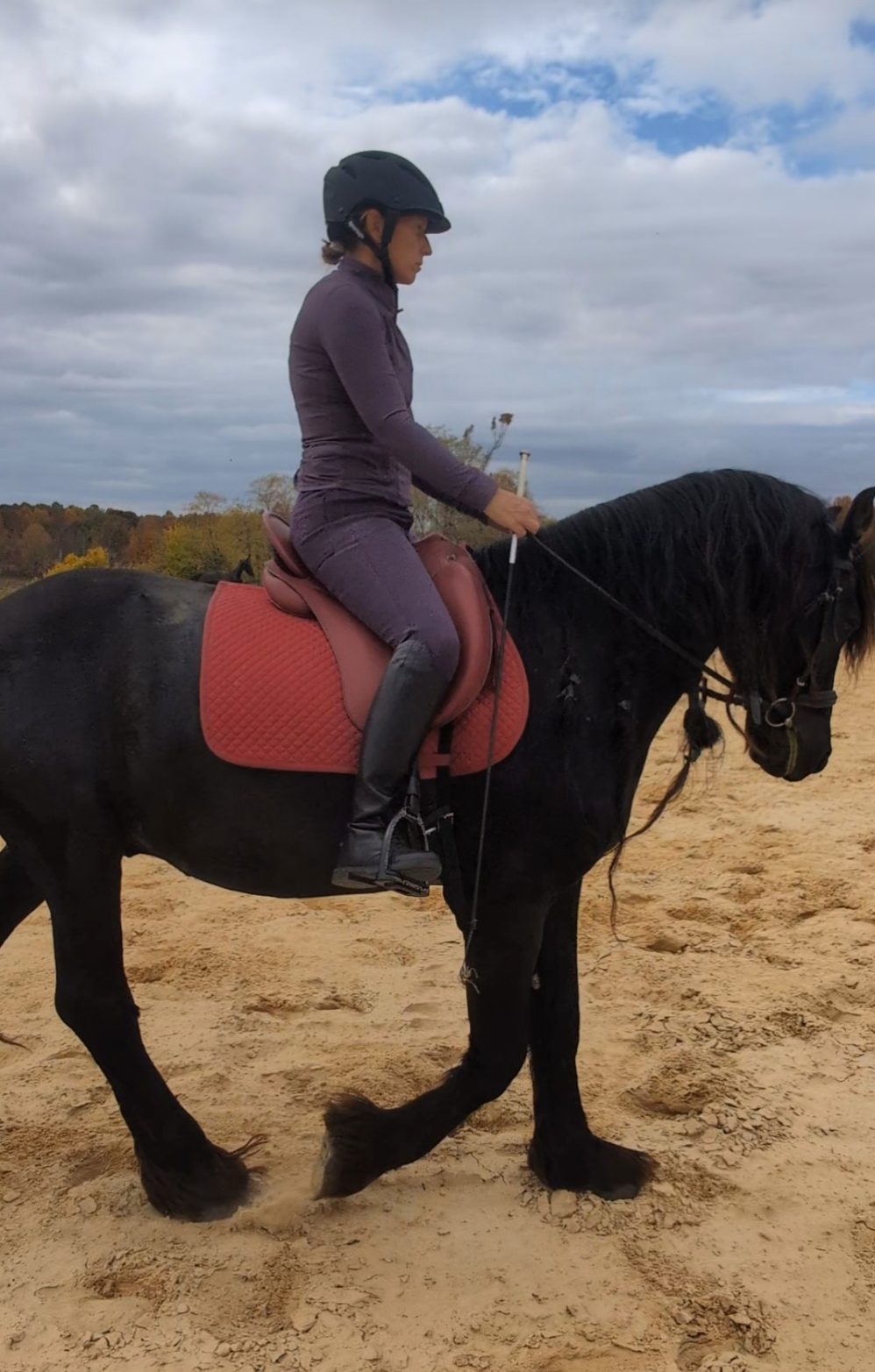 DP Saddlery Majestro Dressage Saddle 7481 S2