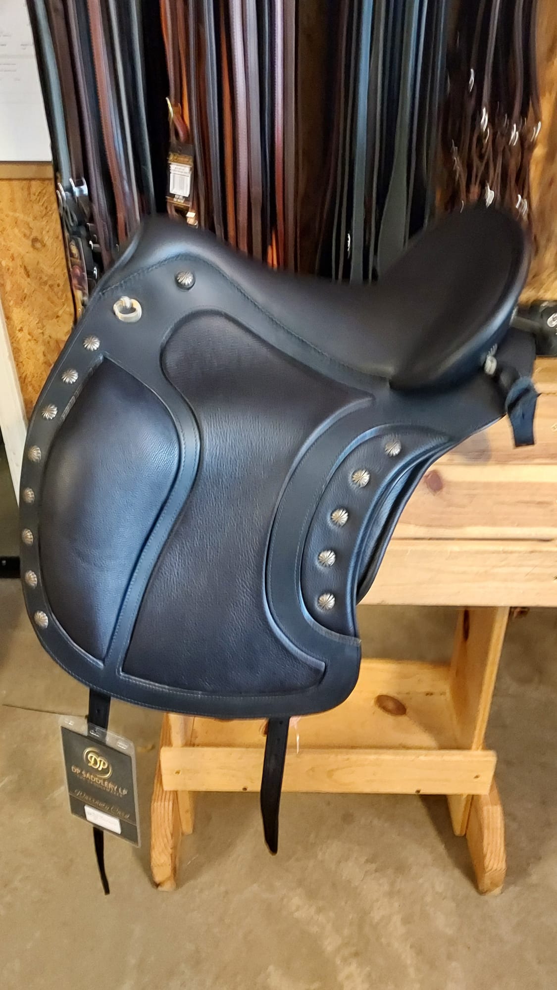 DP Saddlery El Campo Shorty SKL  8305 S2