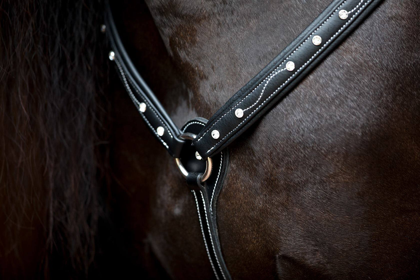 DP Saddlery Soft Feel Bridle Brilliant SF44