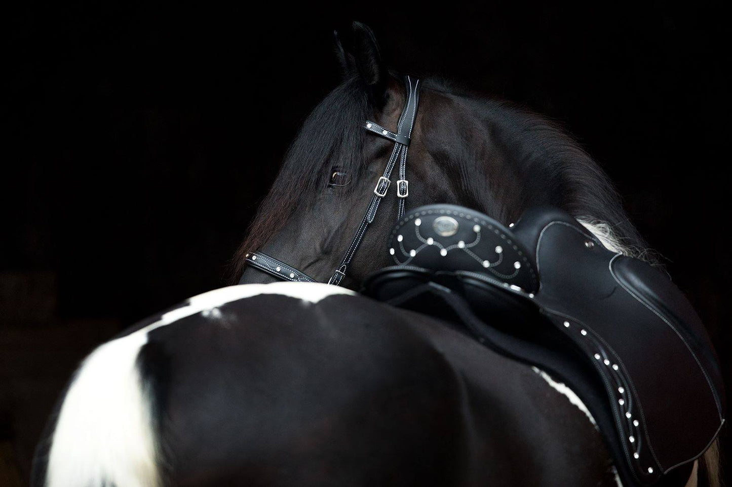 DP Saddlery Soft Feel Bridle Brilliant SF44