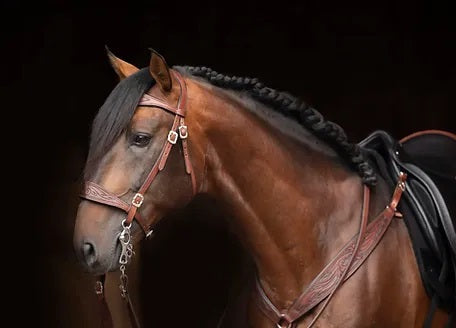 DP Saddlery Soft Feel Bridle Decor SF41