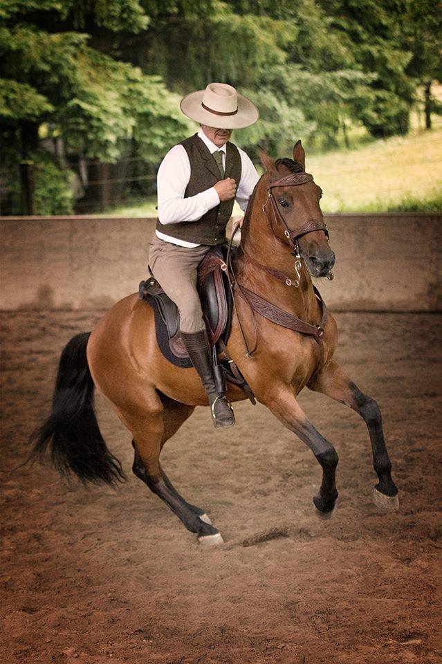 DP Saddlery Soft Feel Bridle Decor SF41