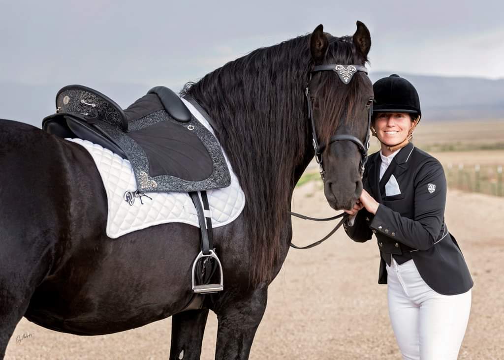 DP Saddlery Espera Saddle 8576 S2