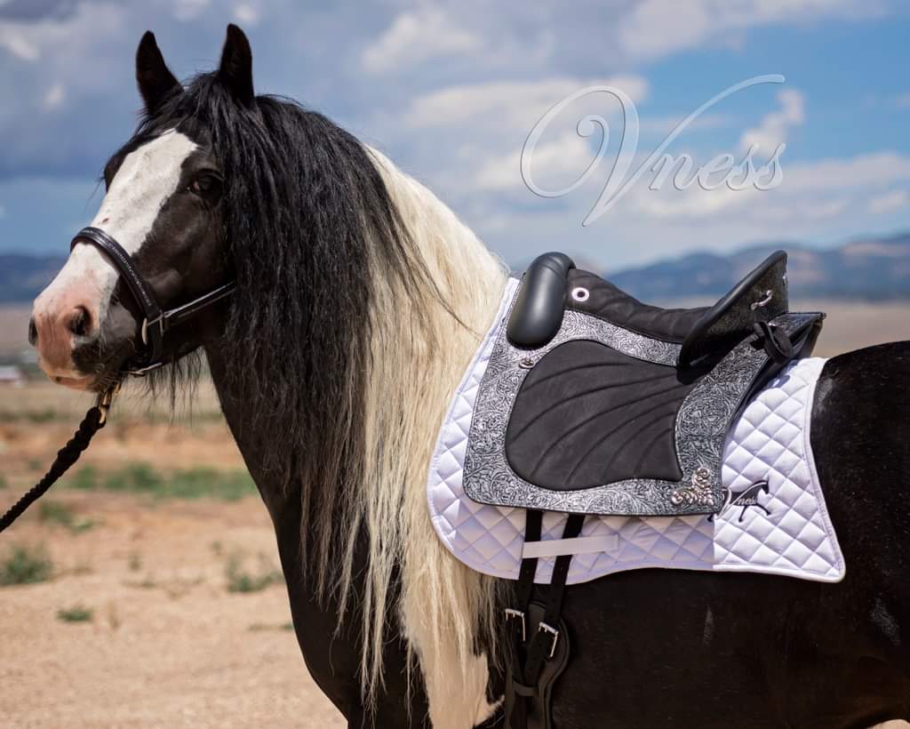 DP Saddlery Espera Saddle 8576 S2