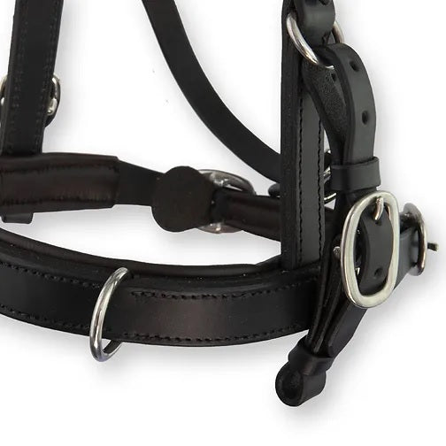 DP Saddlery Cavesson Bit Hanger