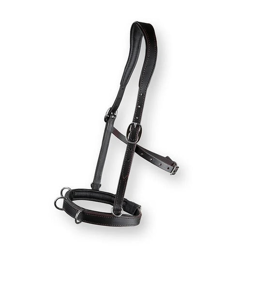 DP Saddlery Cavesson SF29