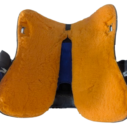 DP Saddlery Western Rough Out Trainer 7280 15.5 DEMO
