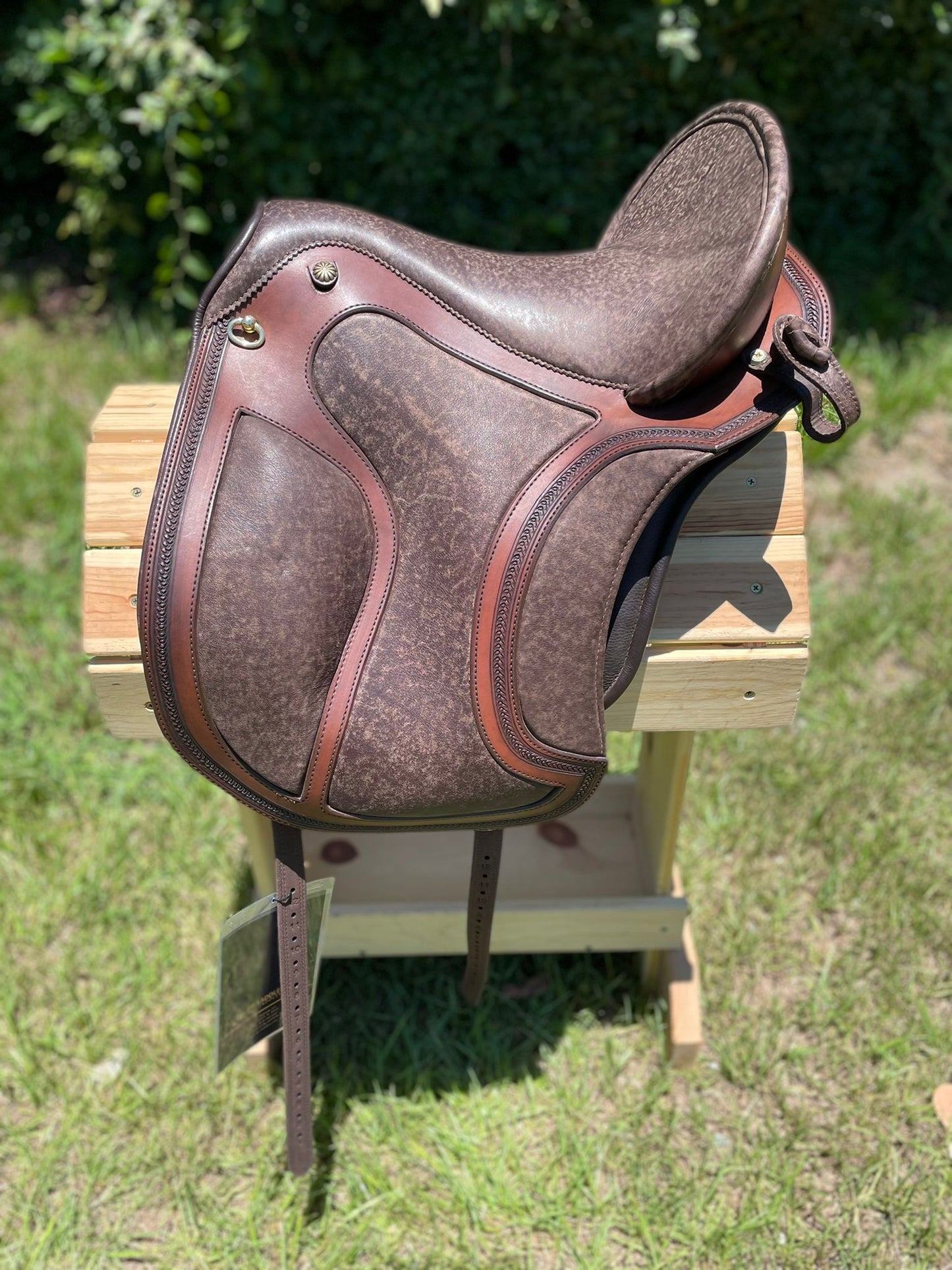 DP Saddlery El Campo Shorty SKL 5044 S1