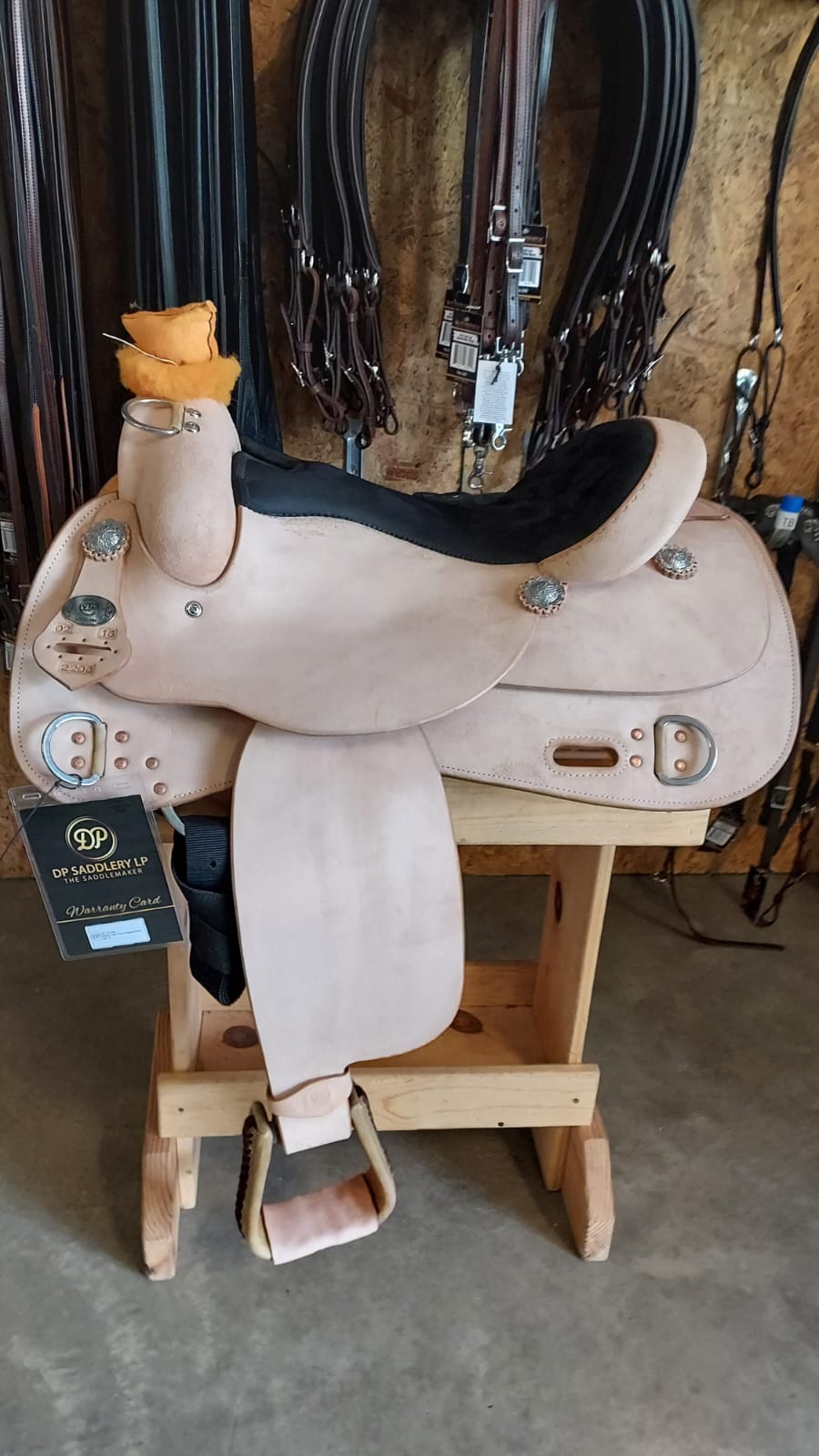DP Saddlery Western Rough Out Trainer 7790 16in