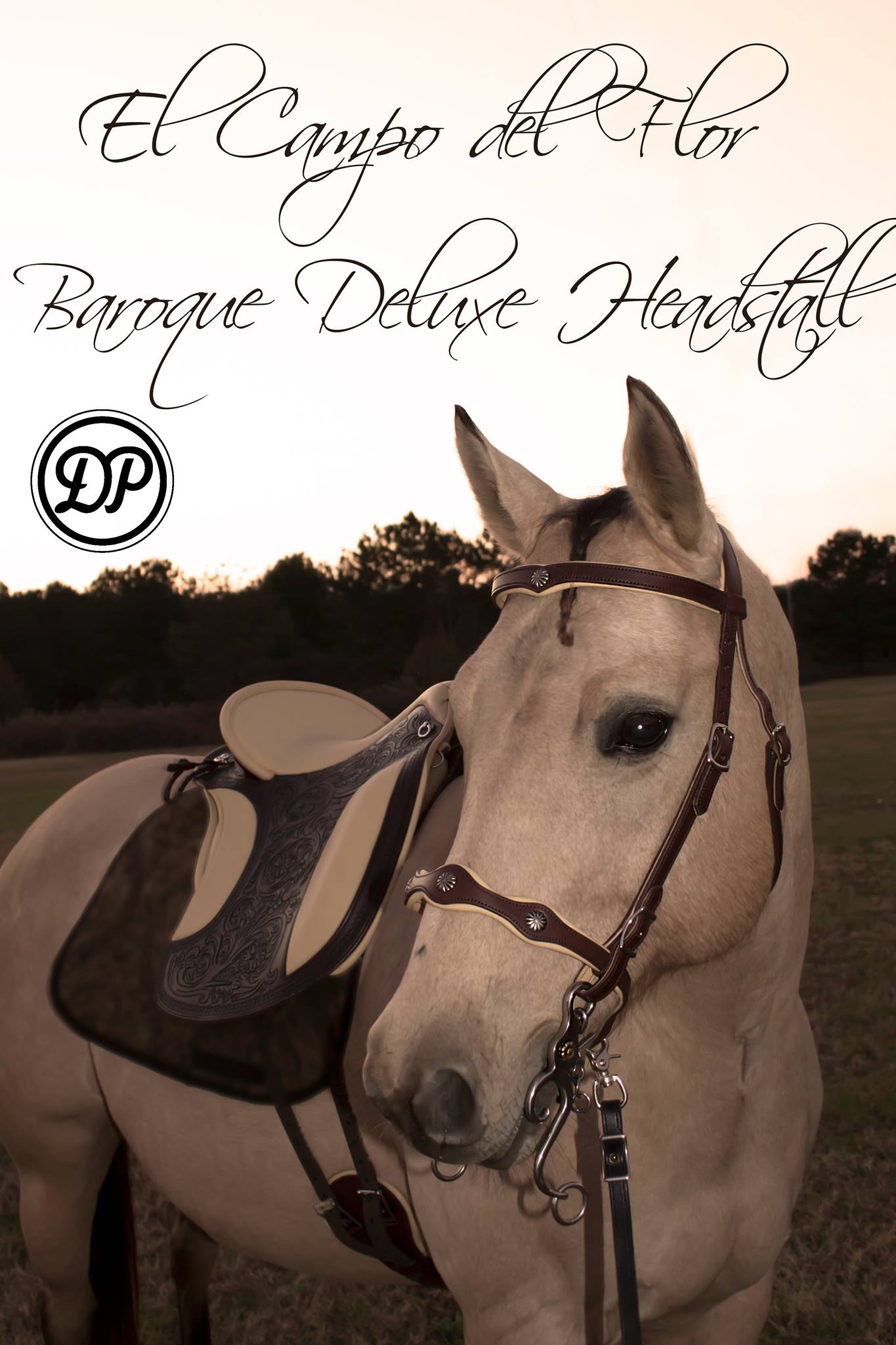 DP Saddlery Soft Feel Reins SF06 SF23 SF24 SF42