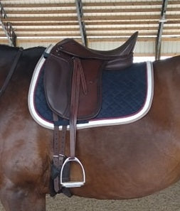 DP Saddlery Classic Dressage 5923 18.5 in