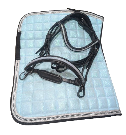 Snow Globe Bridles Limited Edition