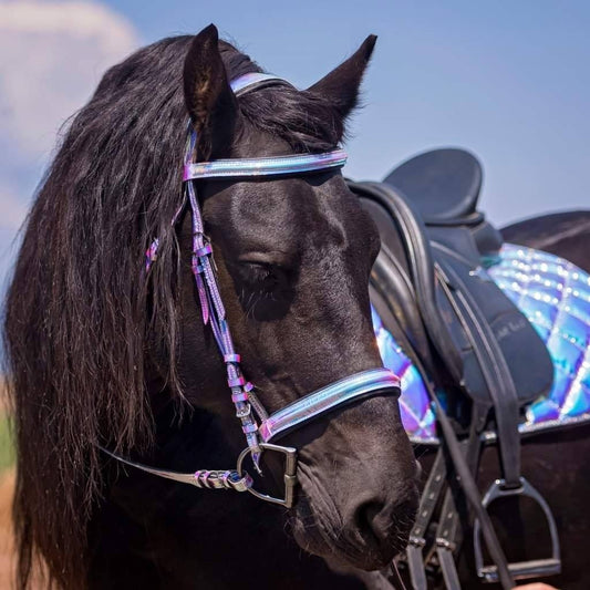 Iridescent Saddle Pad