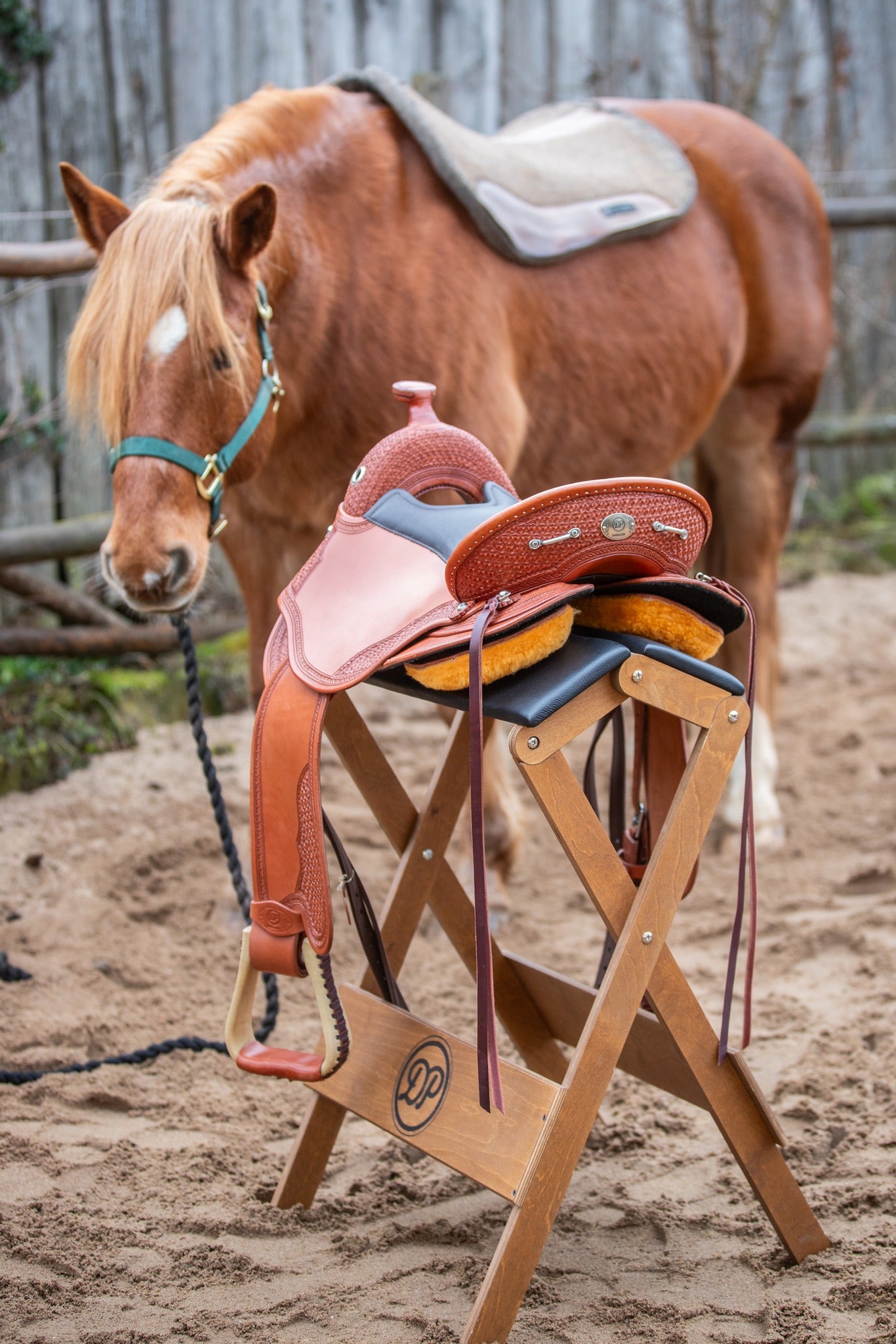DP Saddlery Quantum Short and Light Pro 8605 S2 WD