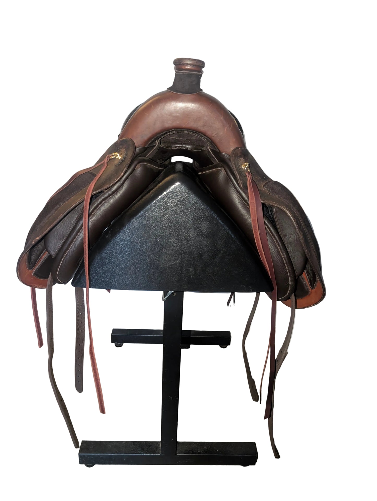 DP Saddlery El Campo Western Decor SKL 8601 S2 Used