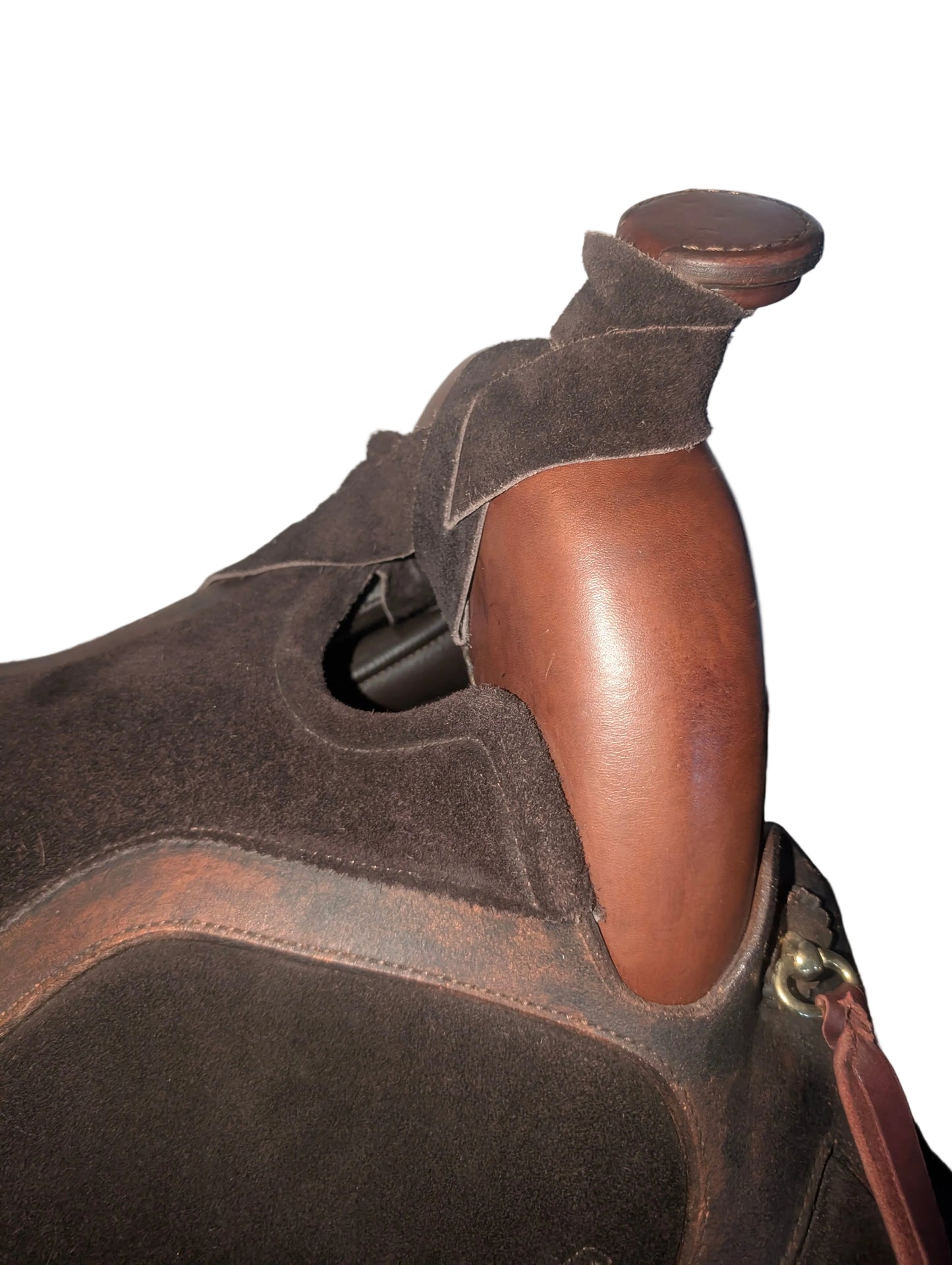 DP Saddlery El Campo Western Decor SKL 8601 S2 Used