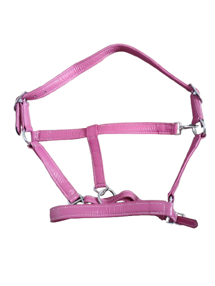 Halters Double Padded