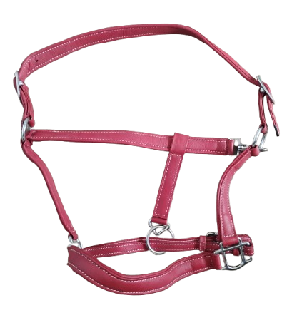 Halters Double Padded