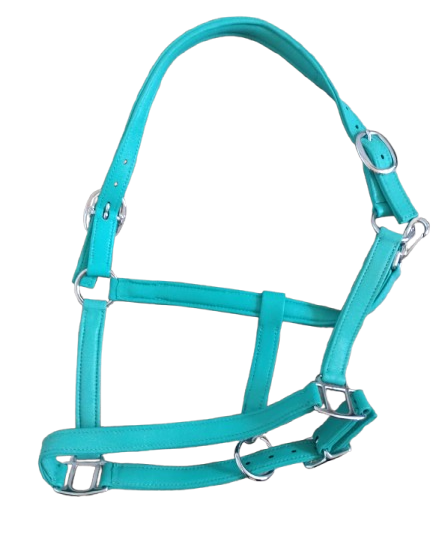Halters Double Padded