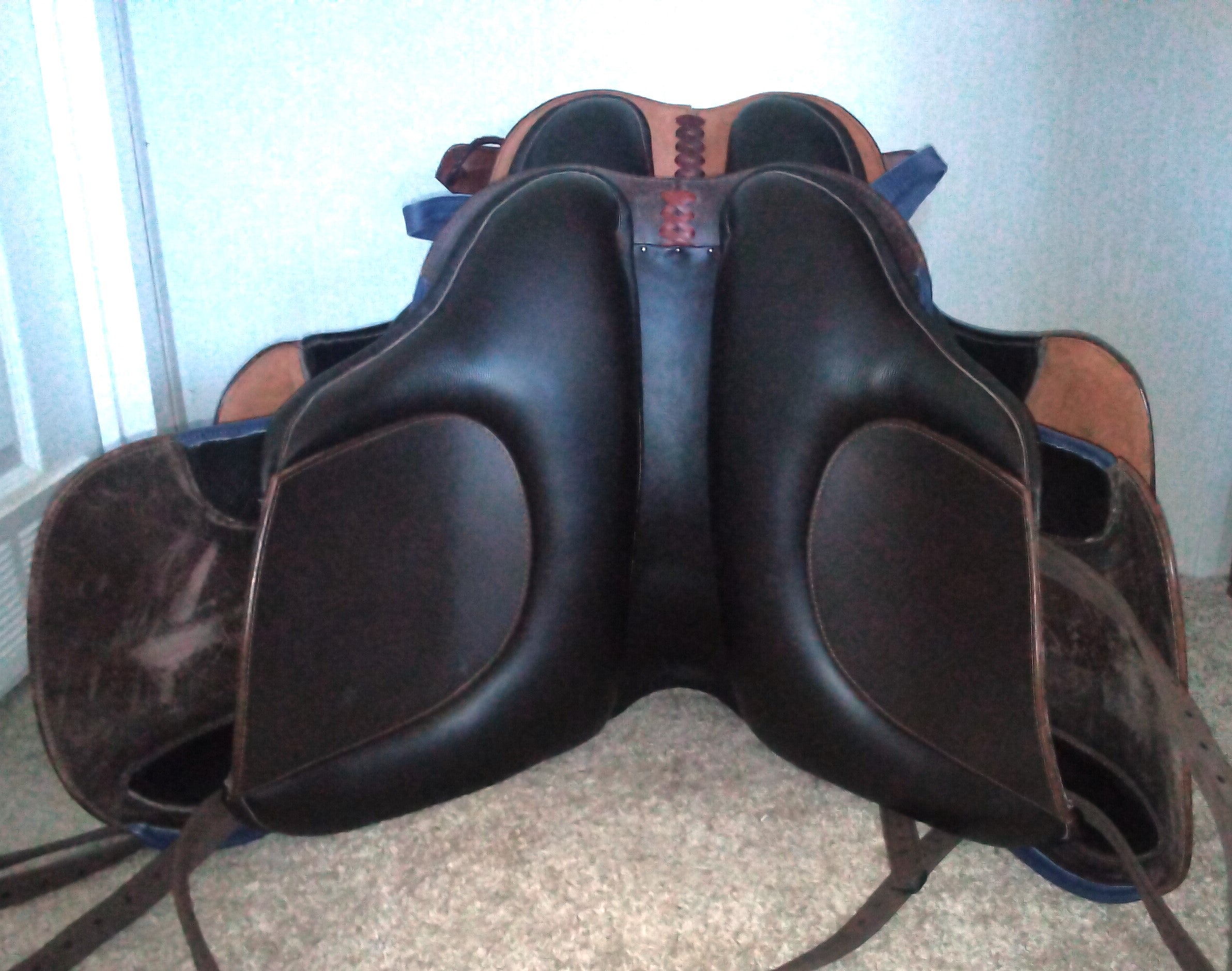 DP El campo To Hat Tack shorty vs regular